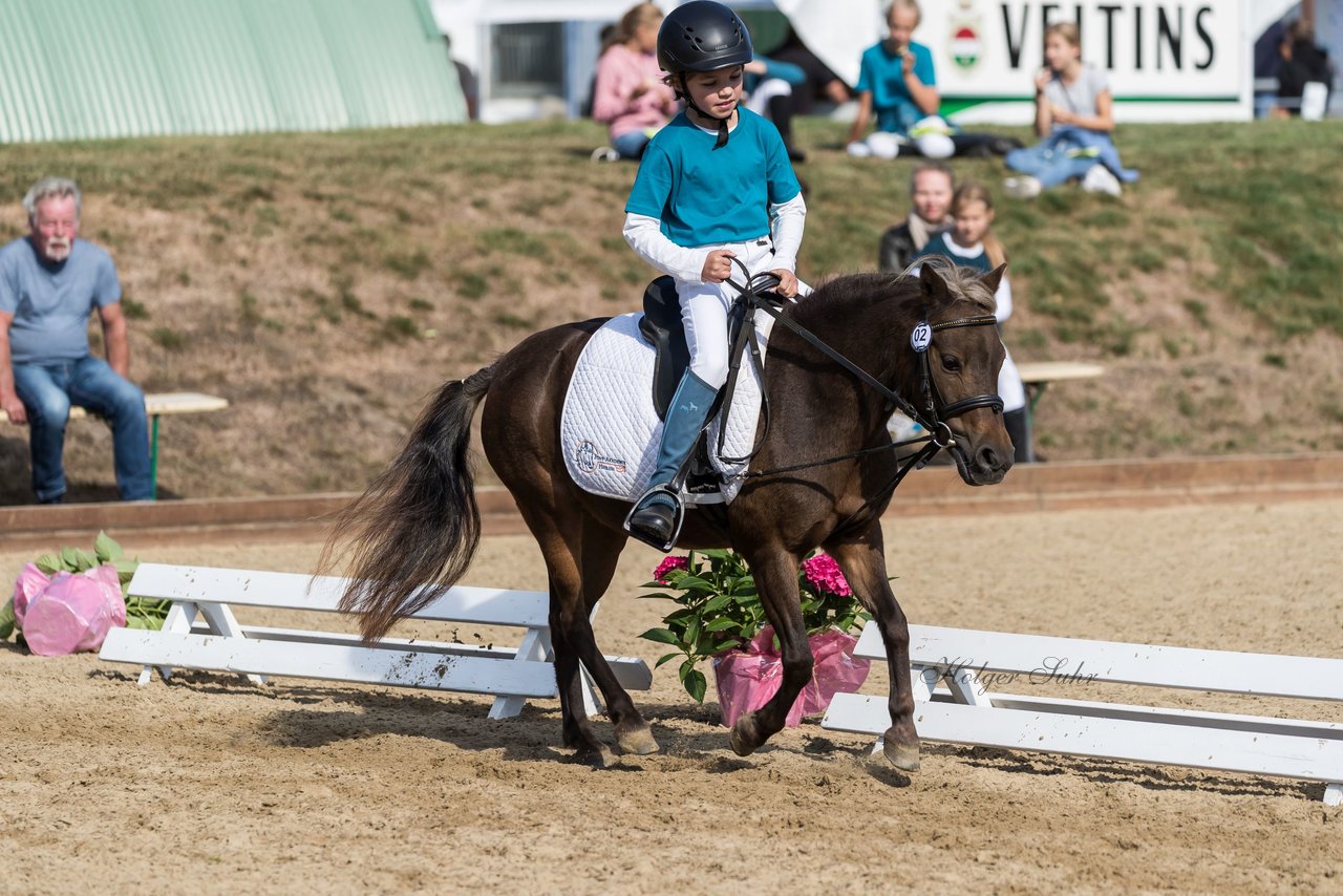 Bild 138 - Pony Akademie Turnier